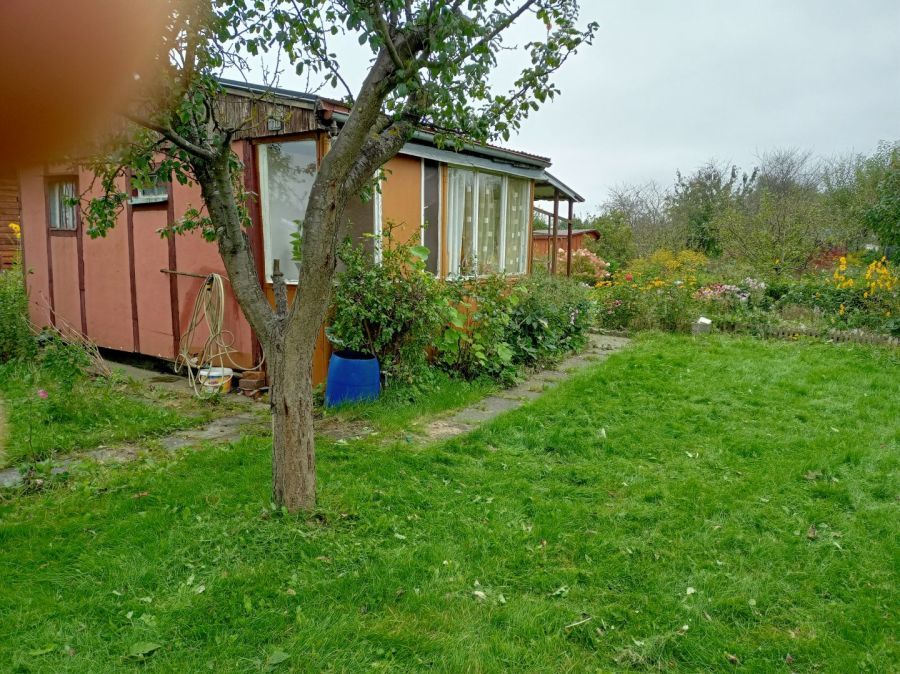 Działka rod Gdańsk Rębiechowo. Zdjęcie 7