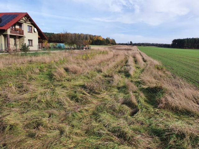 Działka budowlana Panoszów. Zdjęcie 1