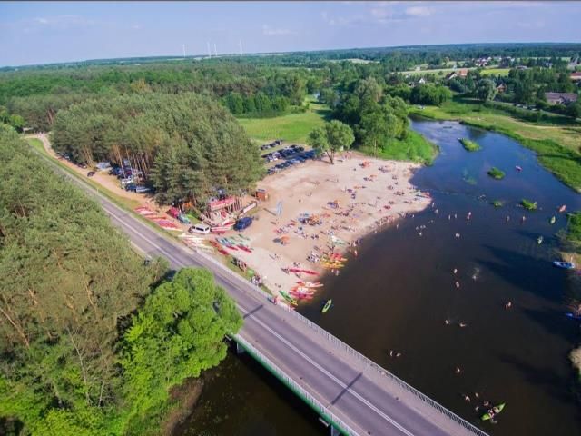 Działka leśna Drochówka. Zdjęcie 8