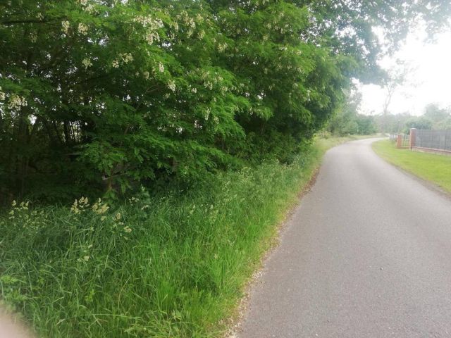 Działka rolna Szczudłów. Zdjęcie 1