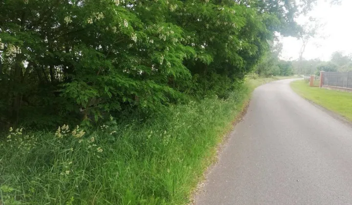 Działka rolna Szczudłów