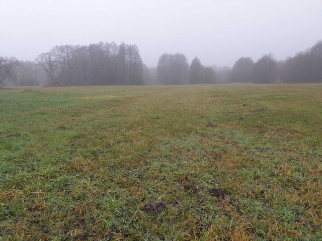 Działka rolna Seroczyn, ul. Słoneczna. Zdjęcie 1