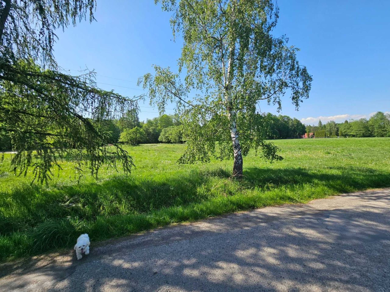 Działka budowlana Ustroń Lipowiec. Zdjęcie 1