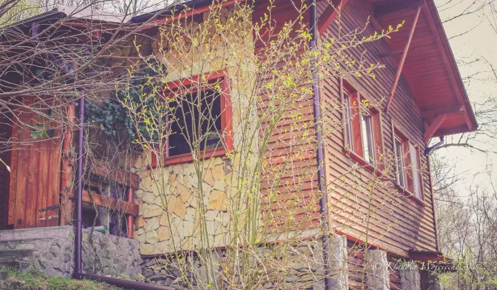 dom wolnostojący Brenna