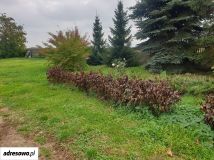 Działka rolna Ciechanów, ul. Marcina Kasprzaka. Zdjęcie 3