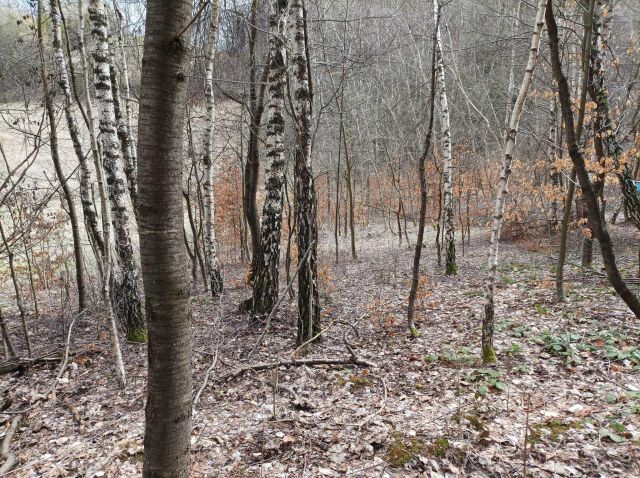 Działka rolna Myczków. Zdjęcie 1