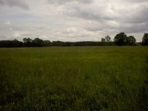 Działka rolna Barzyna. Zdjęcie 4