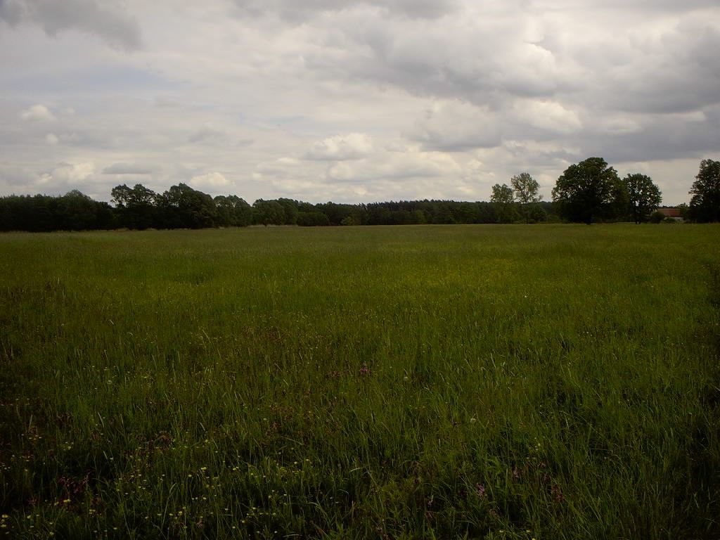 Działka rolna Barzyna. Zdjęcie 5