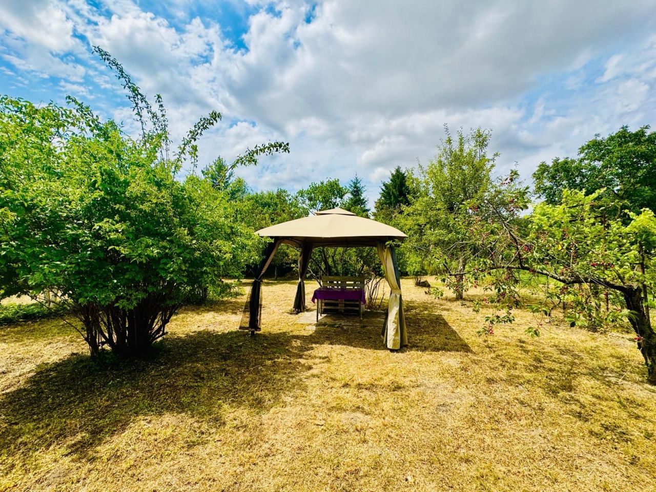 Działka rod Wschowa, al. PCK