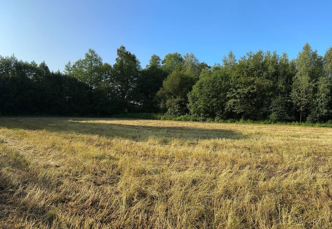 Działka rolna Rudawica. Zdjęcie 6