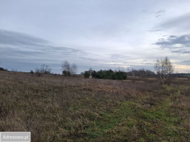Działka budowlana Marwice. Zdjęcie 1
