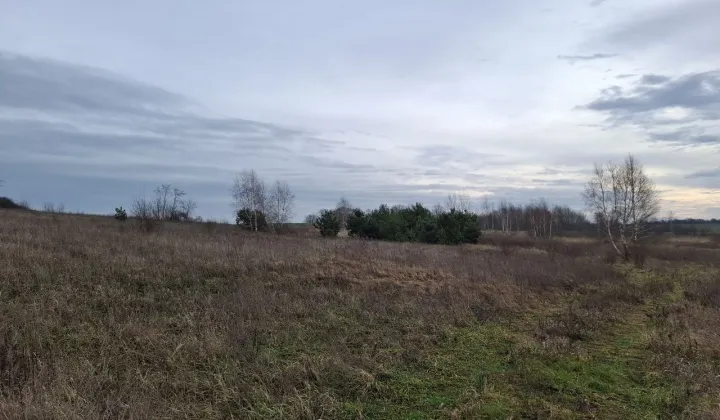 Działka budowlana Marwice