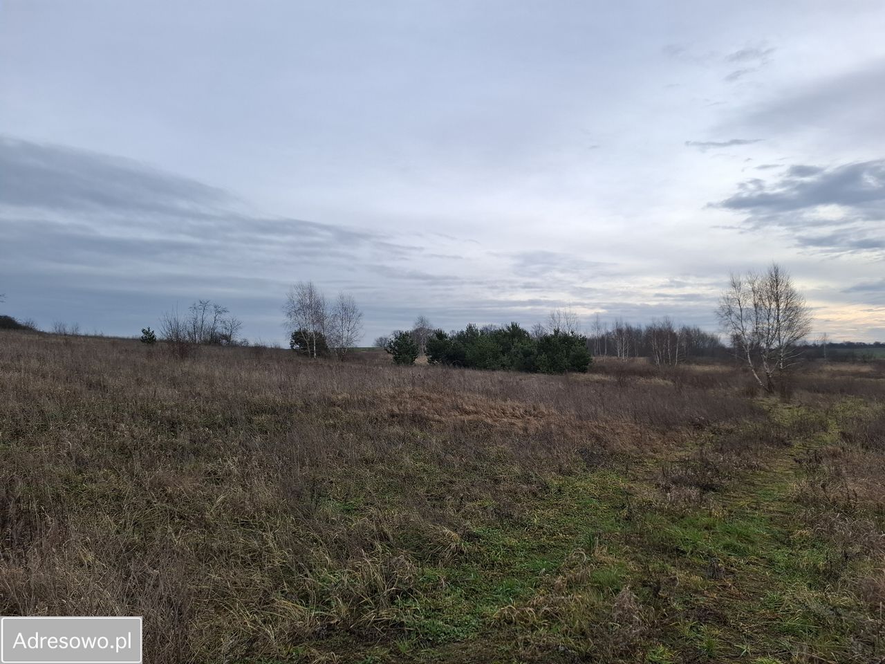 Działka budowlana Marwice. Zdjęcie 1