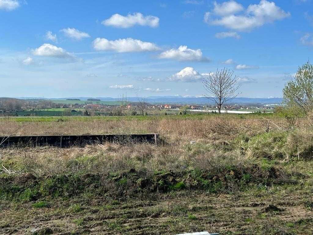 bliźniak Ziemnice. Zdjęcie 5