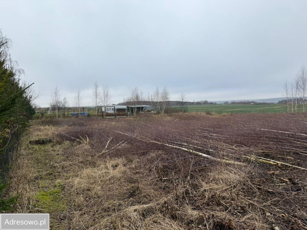 Działka budowlana Bielkówko, ul. Kolonia. Zdjęcie 10
