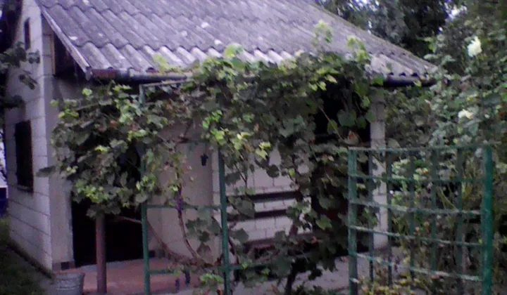 Działka rod Lublin Kalinowszczyzna, ul. Działkowa