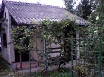 Działka rod Lublin Kalinowszczyzna, ul. Działkowa