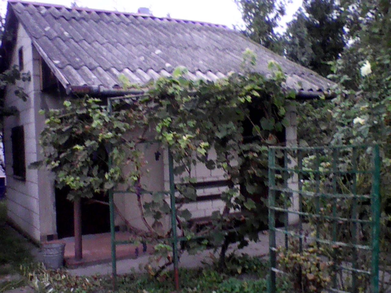 Działka rod Lublin Kalinowszczyzna, ul. Działkowa