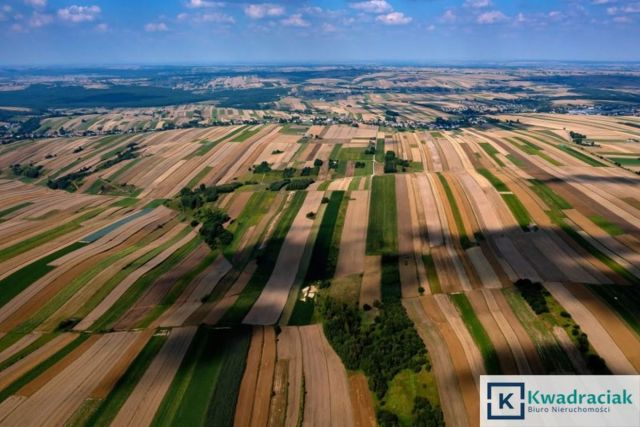 Działka rolna Łężyny. Zdjęcie 1