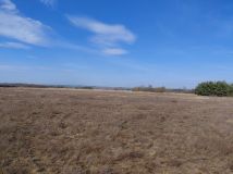 Działka budowlana Trzebicz, Brak. Zdjęcie 1