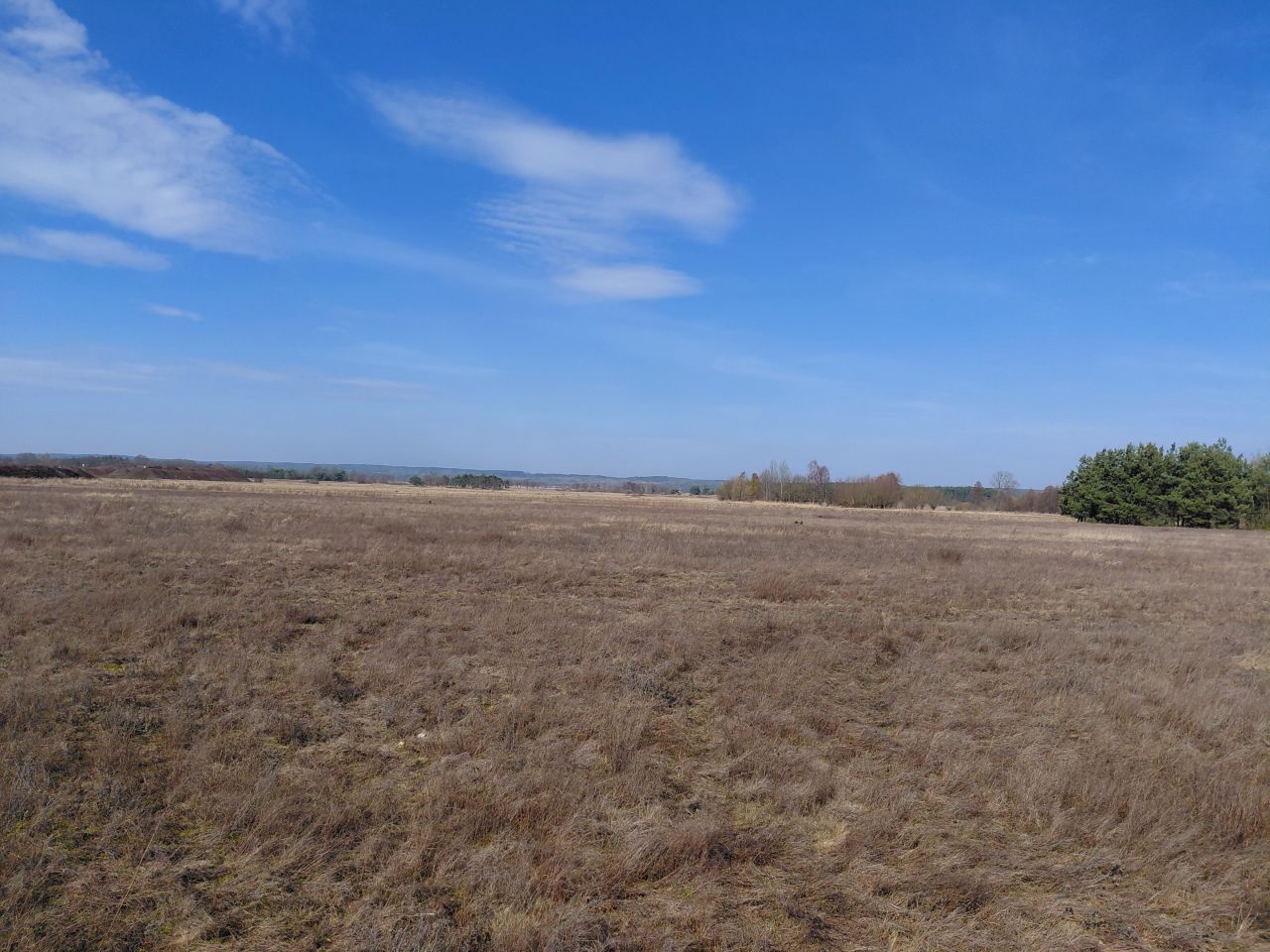 Działka budowlana Trzebicz, Brak. Zdjęcie 2