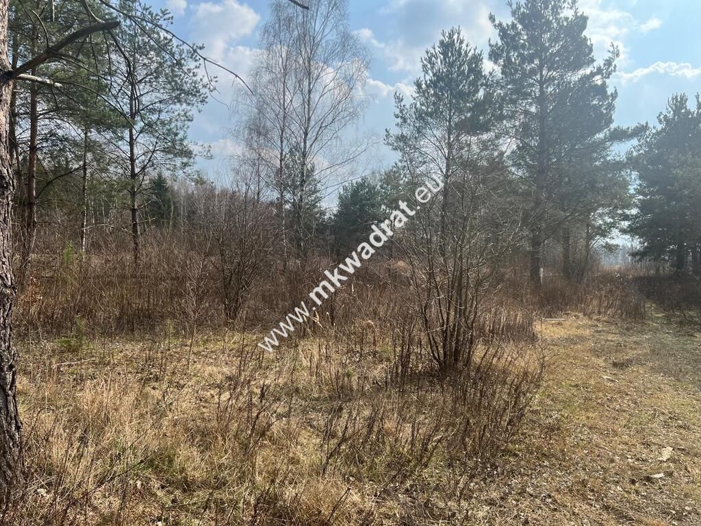 Działka Tłumy. Zdjęcie 2