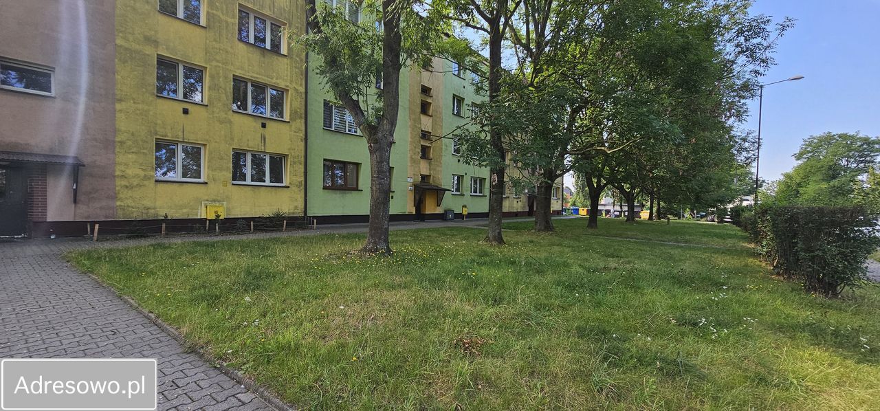 Mieszkanie 1-pokojowe Zabrze Rokitnica, ul. Grzybowska. Zdjęcie 19