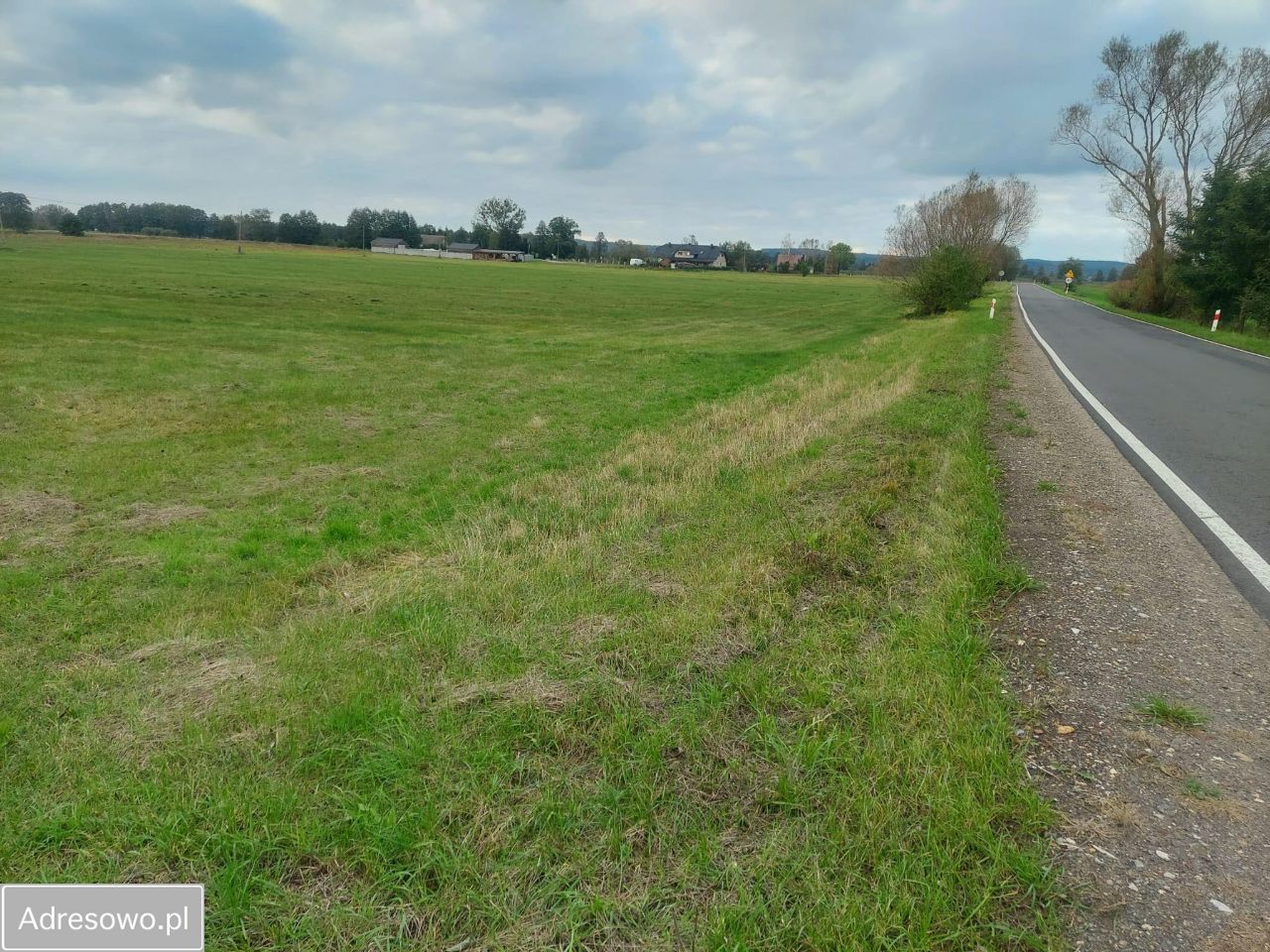 Działka rolno-budowlana Pławin. Zdjęcie 5