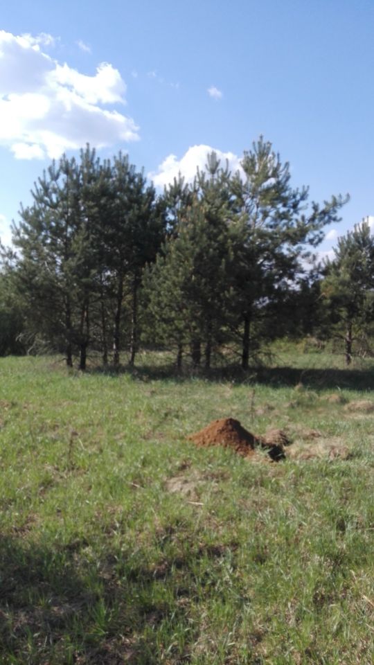 Działka budowlana Kośmidry. Zdjęcie 6