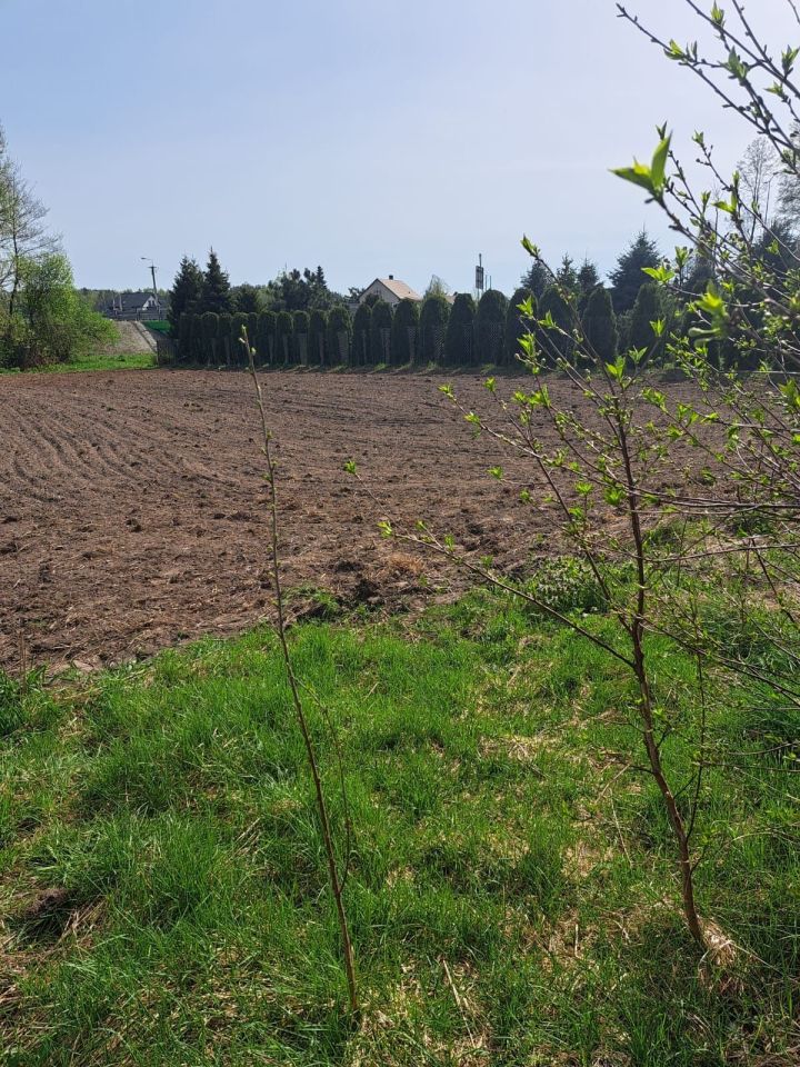 Działka siedliskowa Bojary. Zdjęcie 8