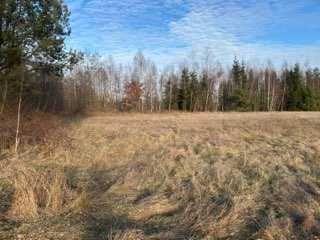 Działka rolno-budowlana Parzniewiczki. Zdjęcie 4