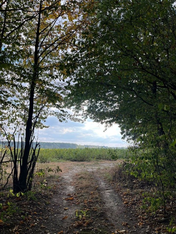 Działka rolna Sporniak. Zdjęcie 4