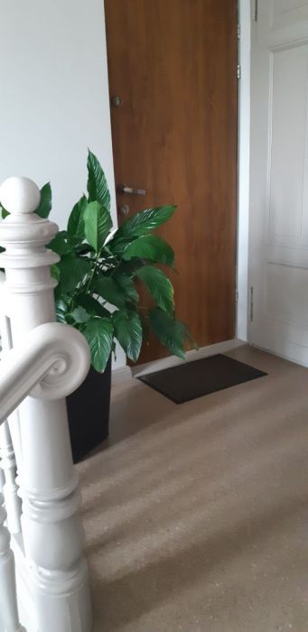 Mieszkanie 6-pokojowe Gdańsk Oliwa, ul. Polanki. Zdjęcie 5