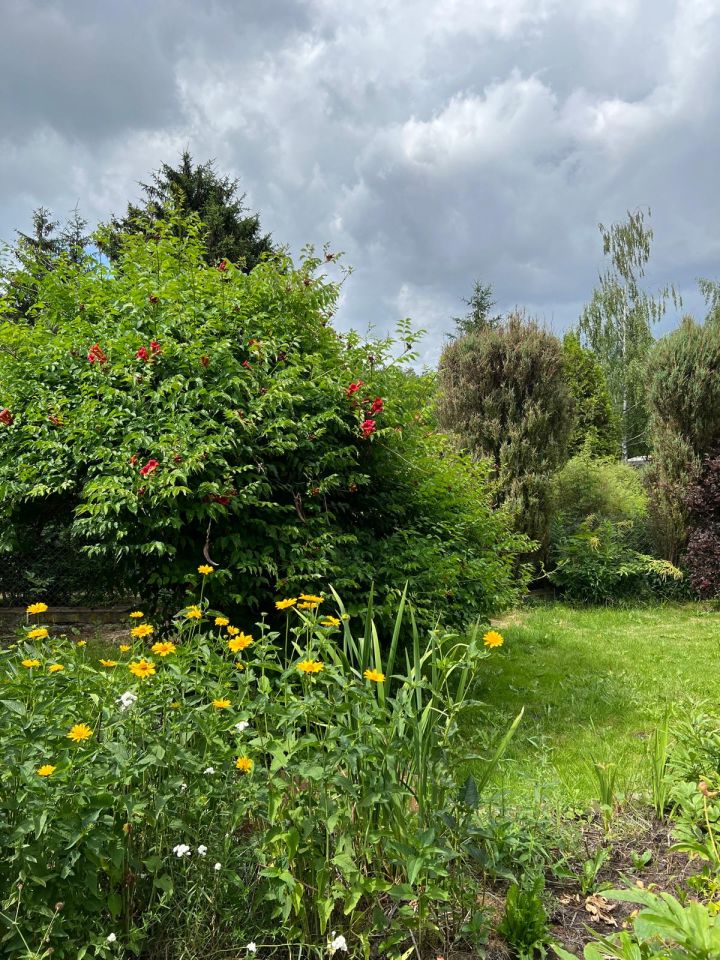 Działka rod Ząbki, ul. gen. F. Sławoja Składkowskiego. Zdjęcie 9