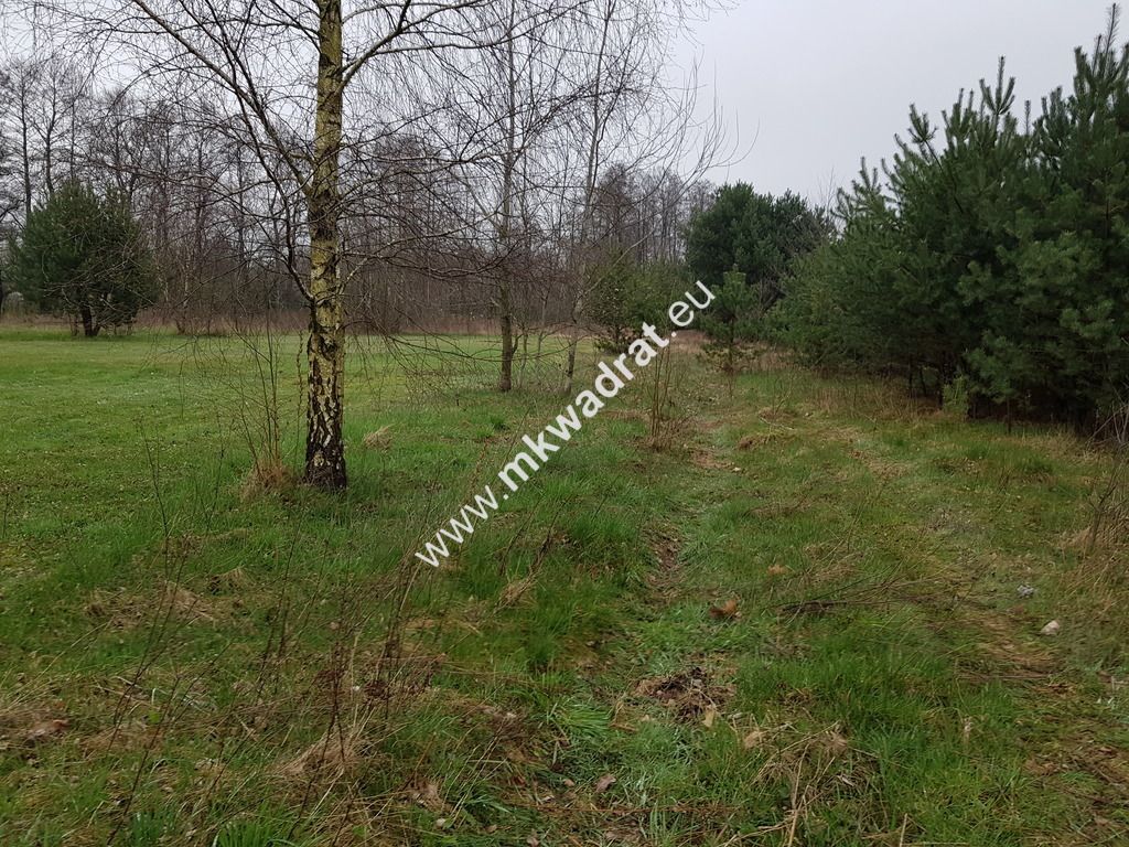 Działka budowlana Marynin. Zdjęcie 8