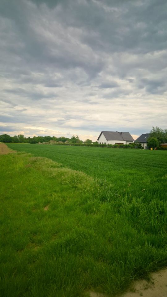 Działka budowlana Proszkowice, ul. Spokojna. Zdjęcie 4