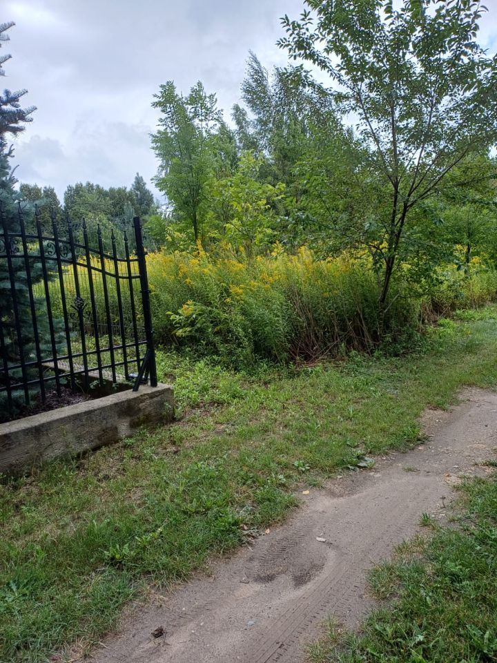Działka budowlana Wilkowa Wieś, brak. Zdjęcie 8