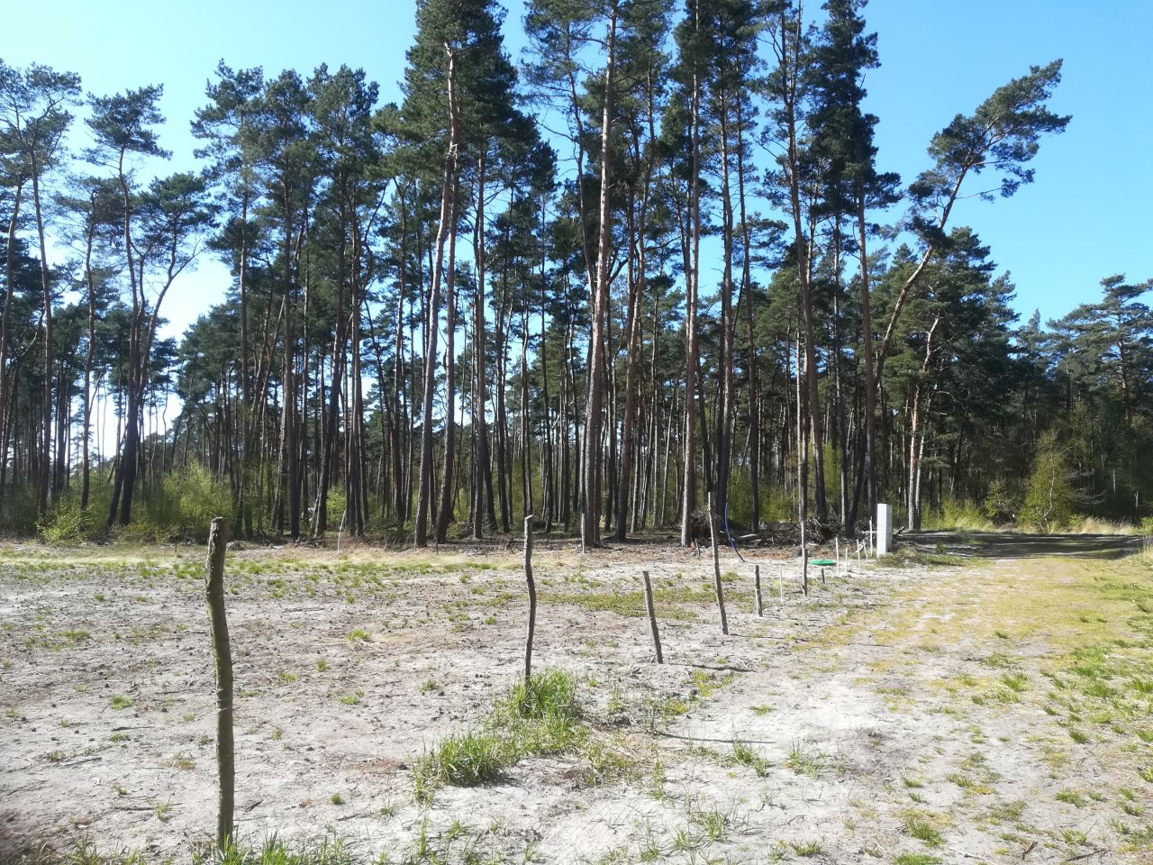 Działka budowlana Dziwnów, ul. Daglezji. Zdjęcie 7