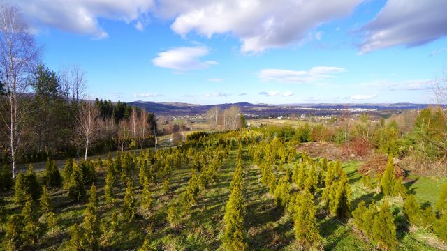 dom wolnostojący, 2 pokoje Ropica Polska. Zdjęcie 7