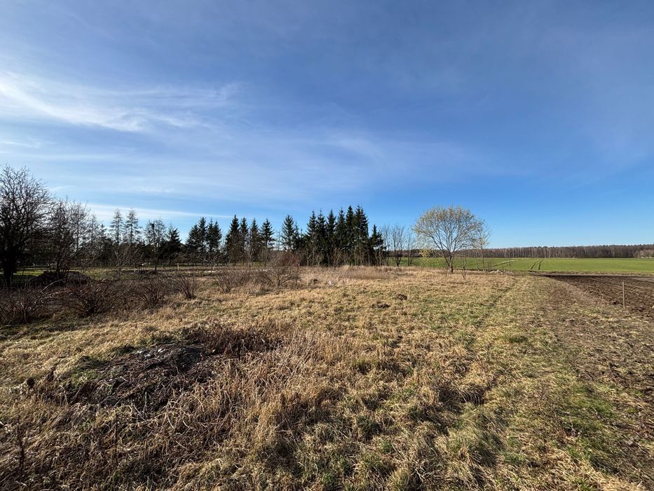 dom wolnostojący Nowa Wieś. Zdjęcie 6