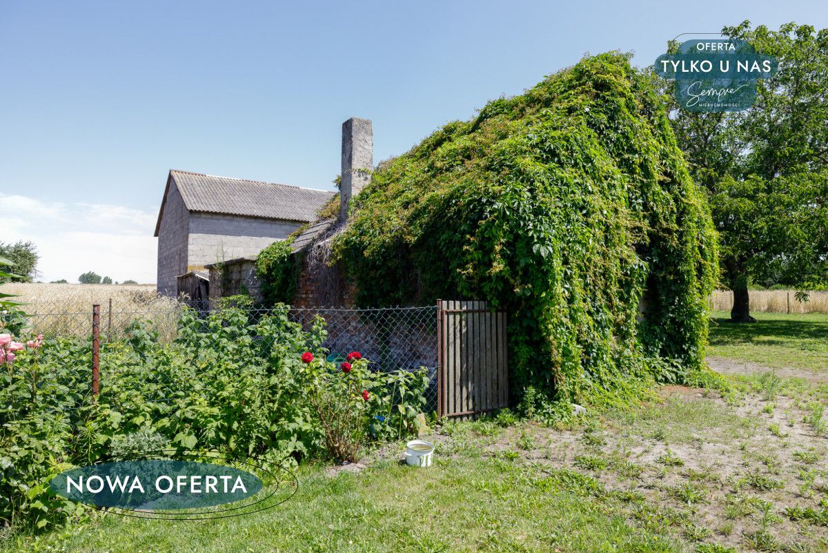 dom wolnostojący, 3 pokoje Wola Zadąbrowska Nowa. Zdjęcie 15