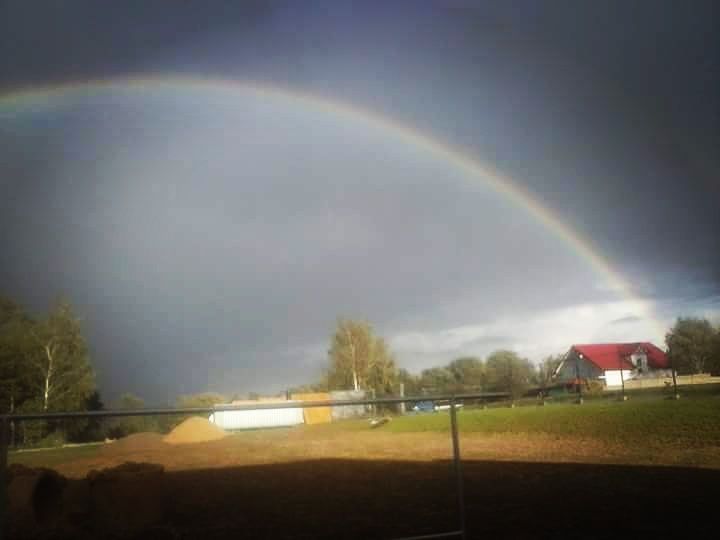 Działka budowlana Sędziszów Małopolski. Zdjęcie 2