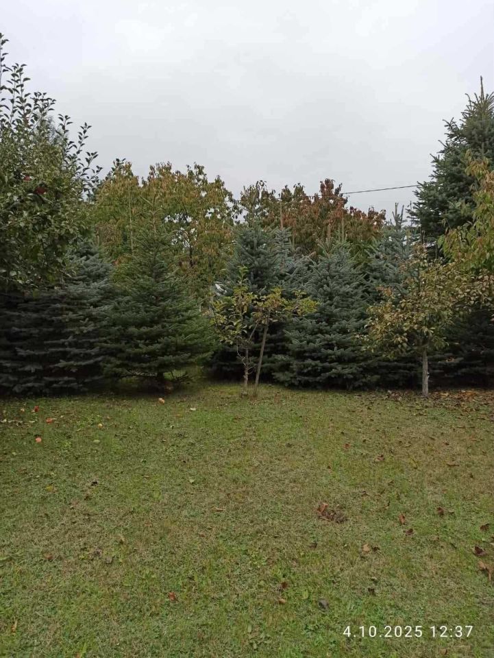 Działka Bierzwnik. Zdjęcie 4