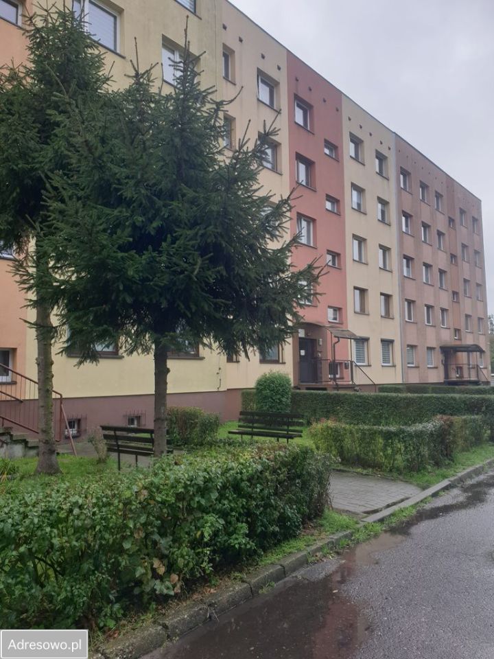 Mieszkanie 3-pokojowe Zabrze Guido, ul. ks. Jana Dzierżona. Zdjęcie 7