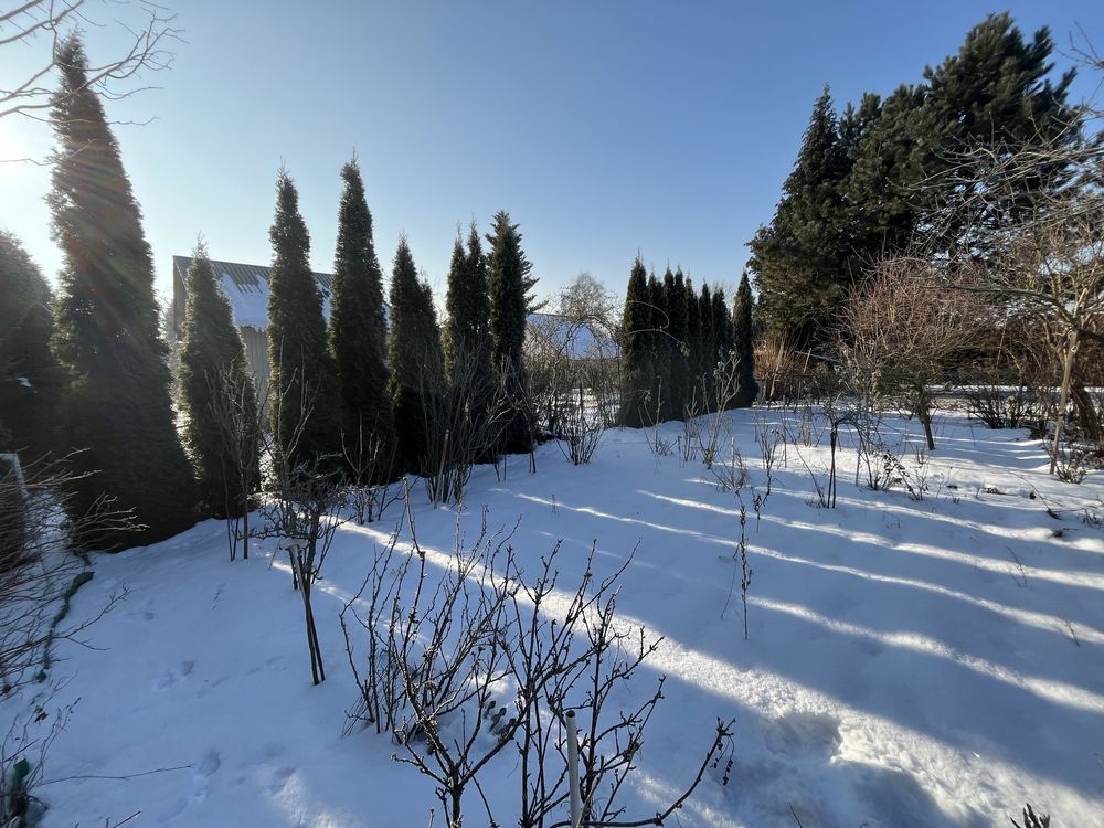 Działka rod Balice, ul. Przemysłowa. Zdjęcie 2