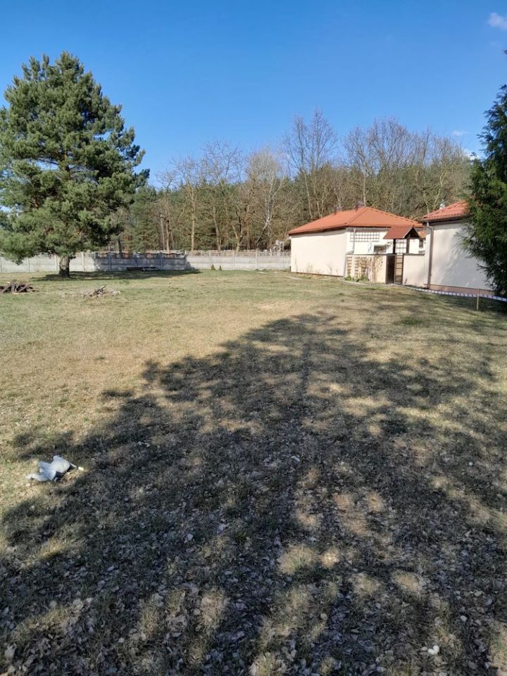 Działka budowlana Maksymilianowo. Zdjęcie 6