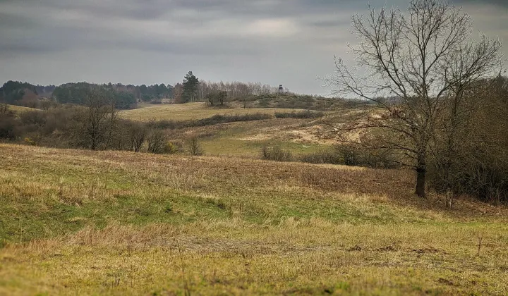 Działka rolno-budowlana Łęgowo