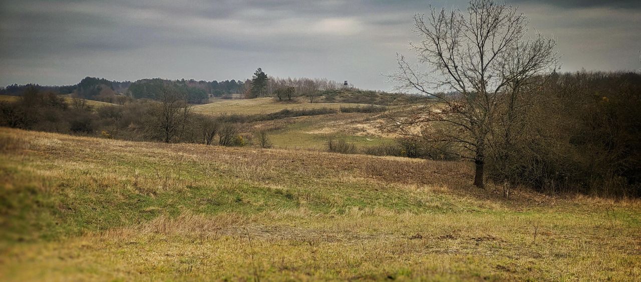 Działka rolno-budowlana Łęgowo. Zdjęcie 1