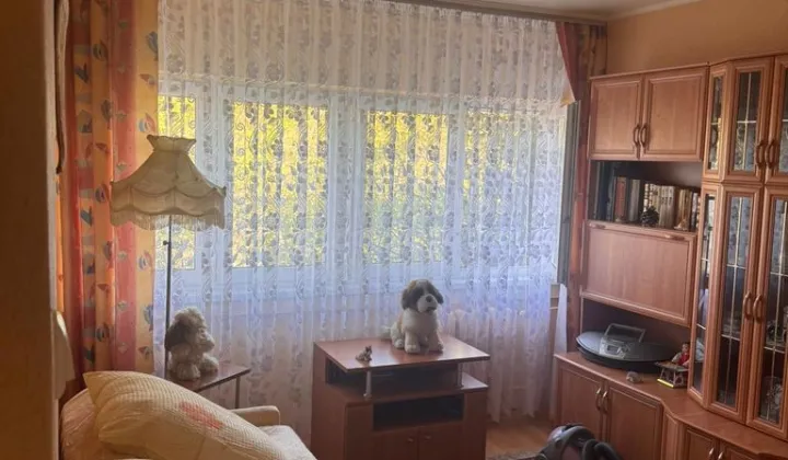 Mieszkanie 2-pokojowe Łódź Teofilów, ul. Wici