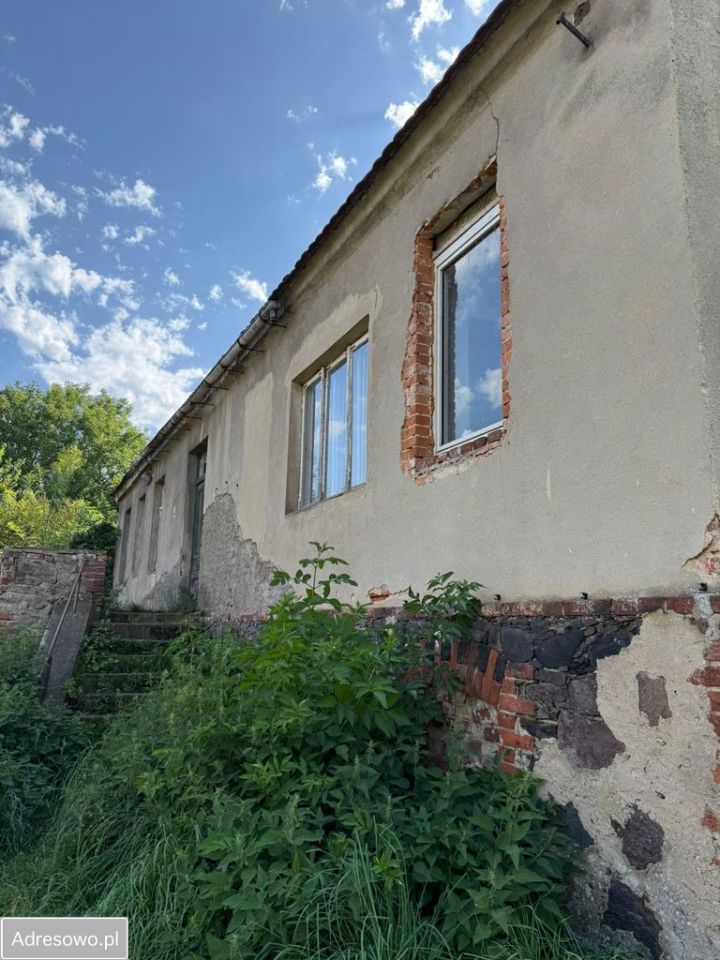 dom wolnostojący, 5 pokoi Dolsko. Zdjęcie 6